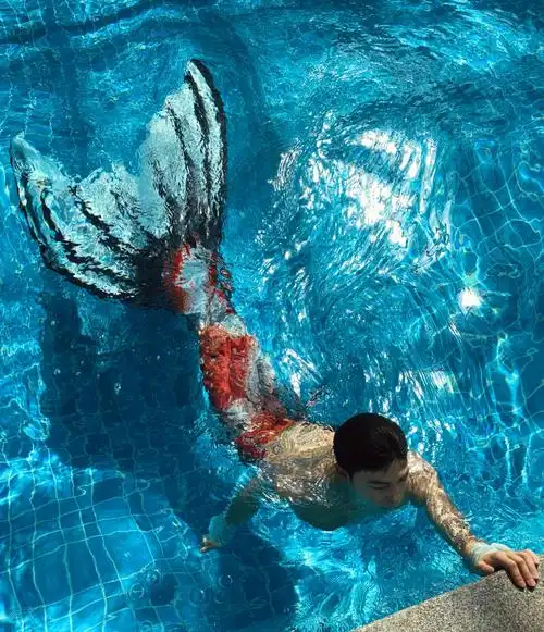 人鱼我就是从油画里游出来的锦鲤