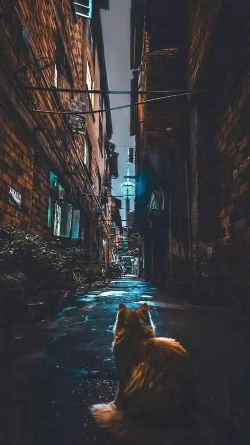 男生壁纸 | 听不完的谎言,看不透的人心