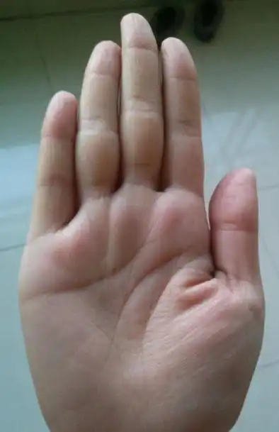 手 相有这种特 征的人,注定是长 寿之相晚 年有福