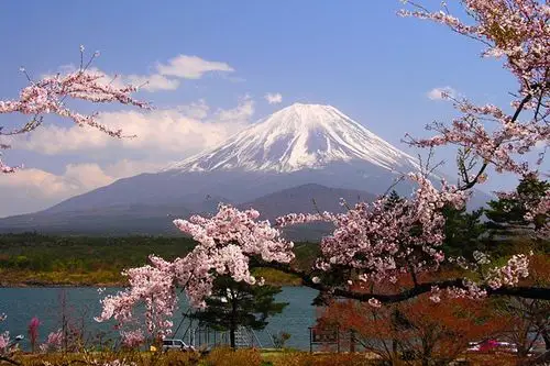 登富士山 伊豆富士山赏樱花地推荐图片360,东亚地区旅游景点,风景名胜