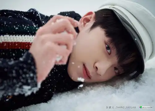 张嘉元雪地照