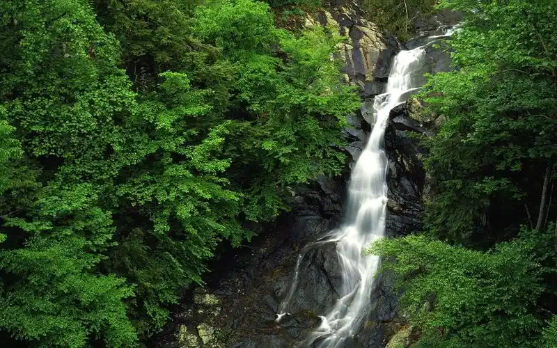 瀑布溪流 壁纸(八)9 - 1280x800