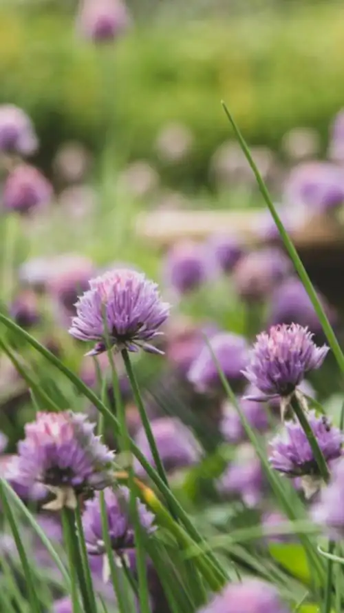 1080_1920竖版 竖屏