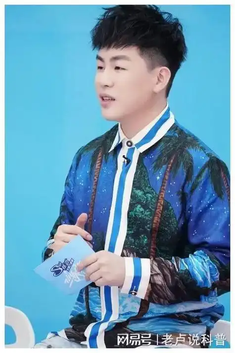 图片源于网络令人惊讶的是,学历不高的胡彦斌在 2018 年被南京艺术