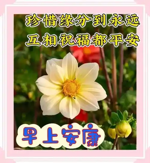 10月5日最新创意好看的早上好祝福图片带字温馨 2023早安问候祝福图片