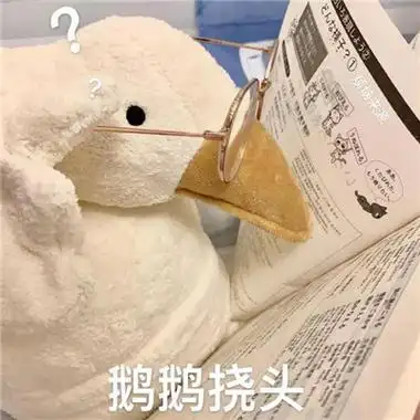 2021超级可爱的憨憨的鹅表情包合辑