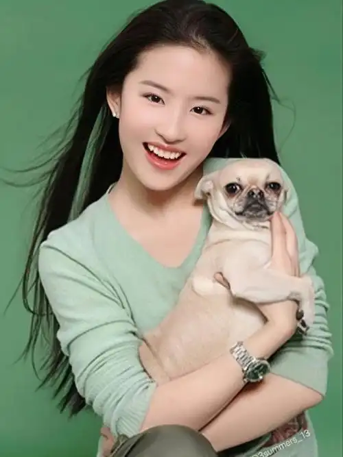 这组图给我的感觉和05年刚认识刘亦菲一样