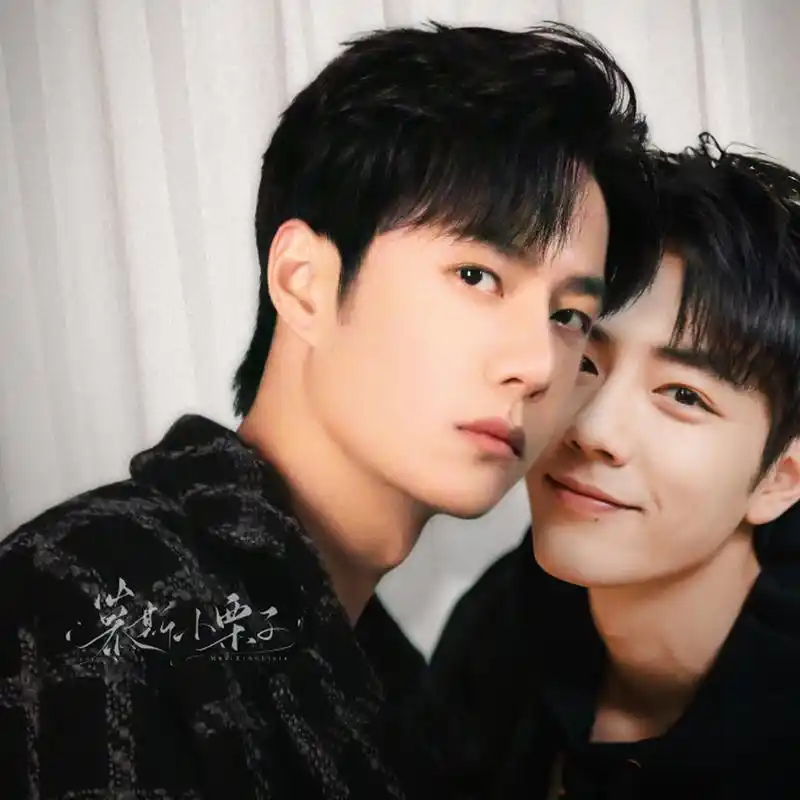 博君一肖# #王一博# #肖战# 大神毫无违和感的p图合集,都好绝啊,淖铑