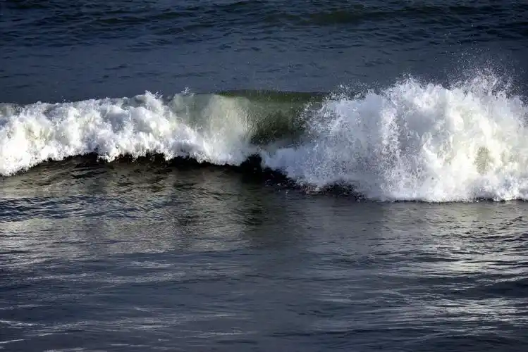摘一朵浪花送给你