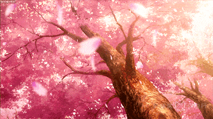 都是我思念的落笔, 我想为你画一座城, 城外山林小溪城内樱花落雨