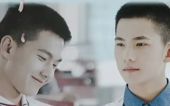 杨洋陆元舔屏向混剪