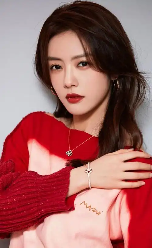 蔡文静高清淡雅美照妩媚迷人