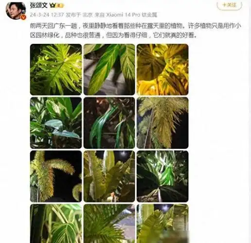 张颂文晒露天植物美照,评论区热闹非凡,网友直呼太养眼!|演员|大自然_