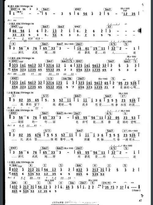 我想养只布偶猫的月牙湾