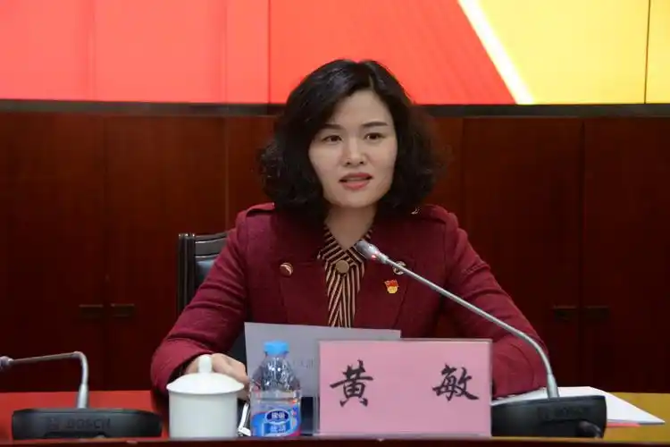 湖南省经济和信息化委员会召开第二次党员代表大会选