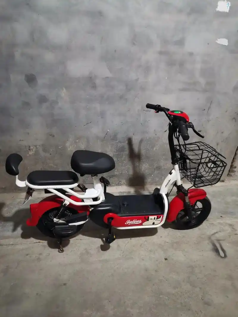 爱玛99电动车48v锂电池续航50公里,可以提出来充电,爱玛博士电机