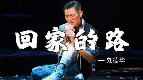 刘德华回家的路下载