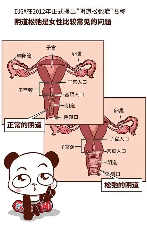 张开双腿给生殖器放气刺激女性荷尔蒙变紧就是这么简单