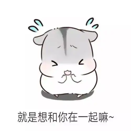 仓鼠套路表情包|男朋友生气了该怎么哄?