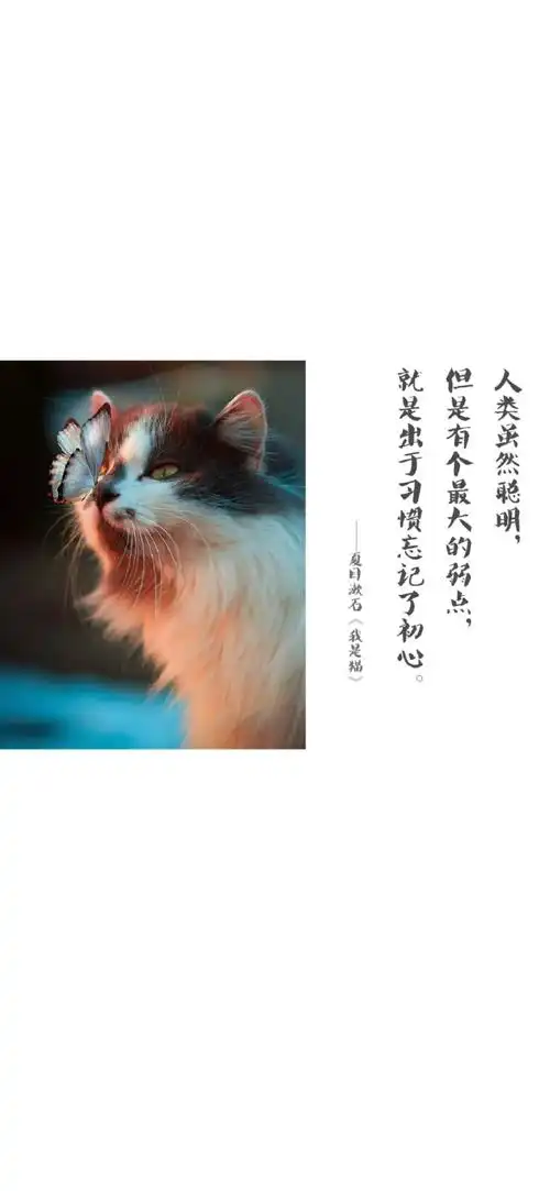 高清壁纸无水印#个性文字锁屏壁纸