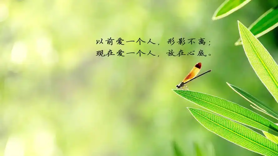 感人至深的文字意境图片桌面壁纸