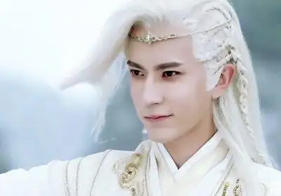 古代男子编发有哪些 古装电视剧男明星编发发型图片