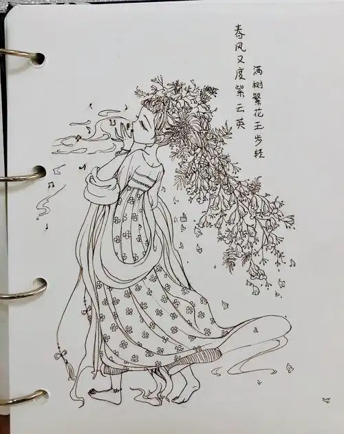 蓝花楹 - 原创作品 - 站酷(zcool)