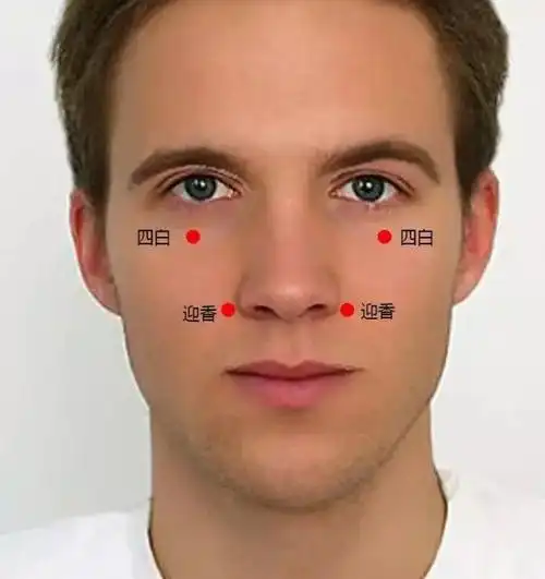 在鼻翼外缘中点旁,当鼻唇沟中.