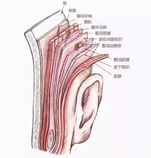 面部埋线提升层次的精确选择很重要,40岁小姐姐面部年轻化案例