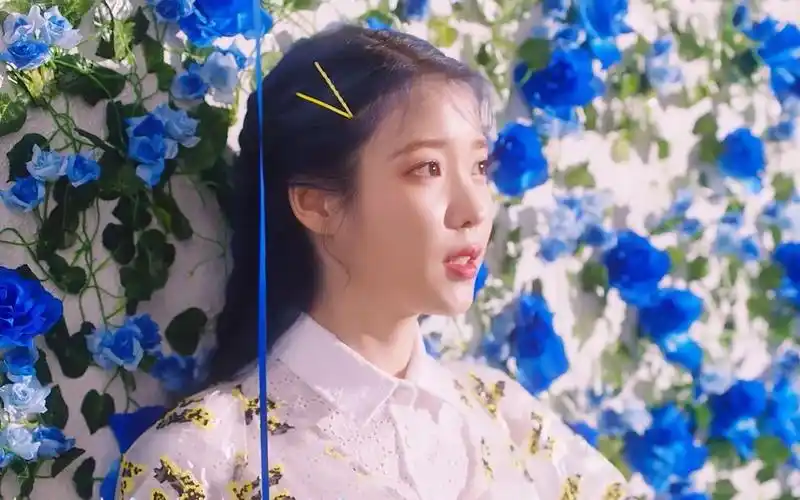 iu - blueming 超清独家自制中文字幕(粉蓝色的心思,你是否也拥有呢)