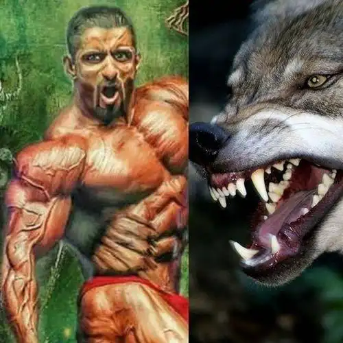 健美界"波斯狼"肌肉如磐石,爆料性取向,部分网友表示取关?