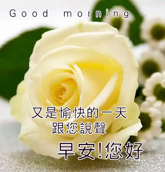 早上好祝福语带图片早安问候语幽默早安问候语每日更新2021