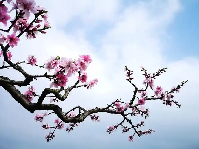 阳光总在风雨后――《每日一拍》第64期摄影作品精选