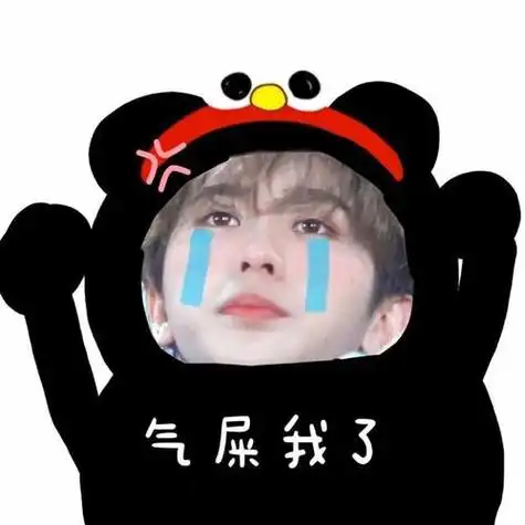 蔡徐坤表情头像黑粉专用