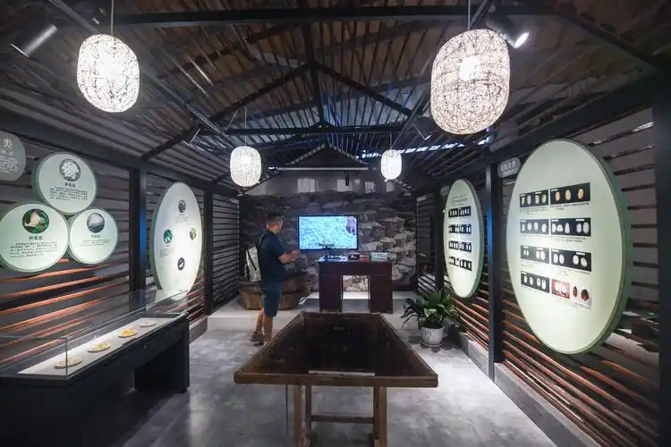 非遗文化馆"点靓"传统老街