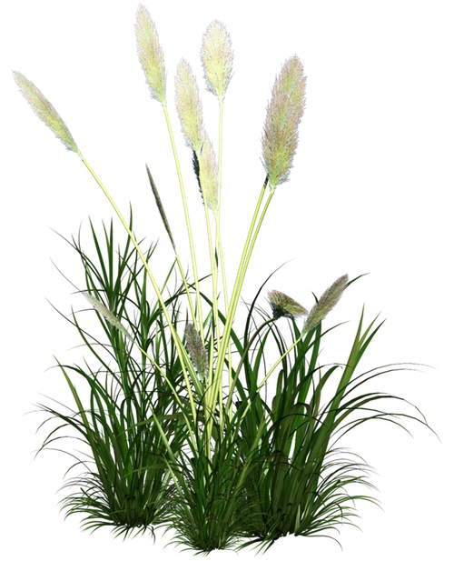 博客制作 原创作品 风景美图 ps教程 美女帅哥 博客美化 生日素材