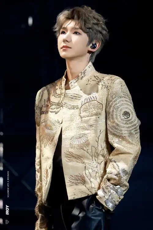 王源客厅狂欢巡演##王源妈妈看演唱会被拦在门外