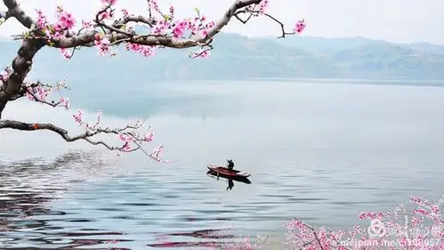 烟雨桃花醉清风