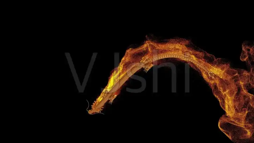 4k金色龙火焰视频-带通道_3840x2160_高清视频素材下载(编号:4511512)