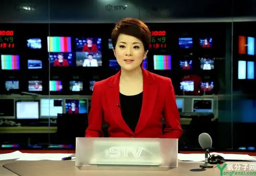 上海电视台新闻主播印海蓉的努力与坚持培养青少年社会责任感