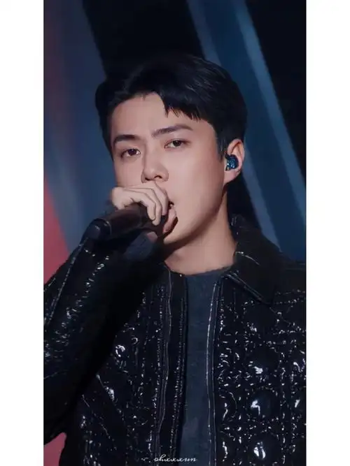 sm家族演唱会吴世勋截修