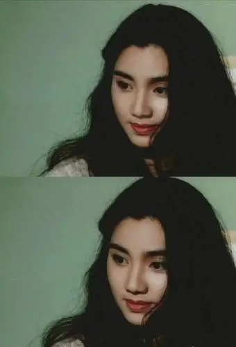 洪欣年轻时美若天仙 现在也甩毕滢十几条街