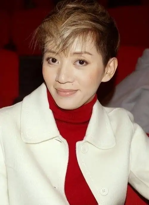 陈淑芬:保全张国荣的尊严,捧红梅艳芳,张学友,照顾沈殿霞女儿