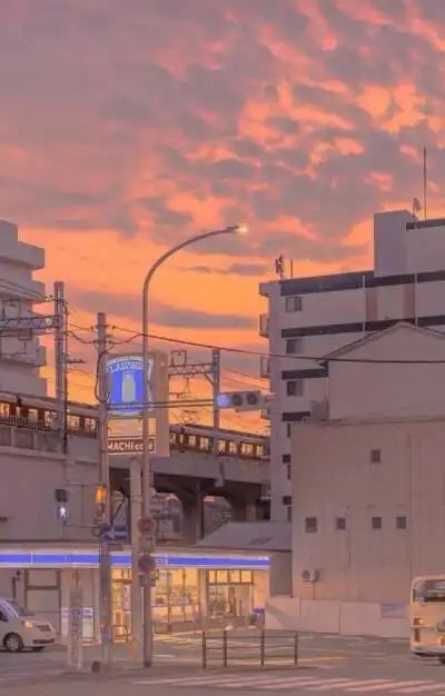 图片来自 小红书