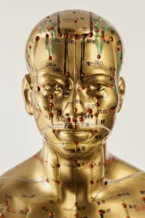 面部 经络 穴位图.jpg