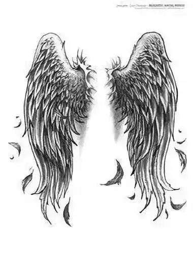 18款翅膀纹身图案和手稿1018