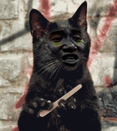 一起睡觉觉_睡觉觉_一起表情