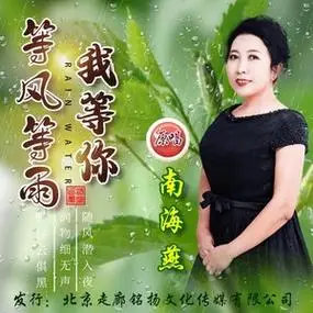 等风等雨我等你