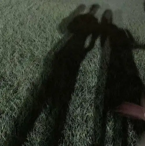 郭富城罕见晒全家牵手背影照,一家四口大手牵小手