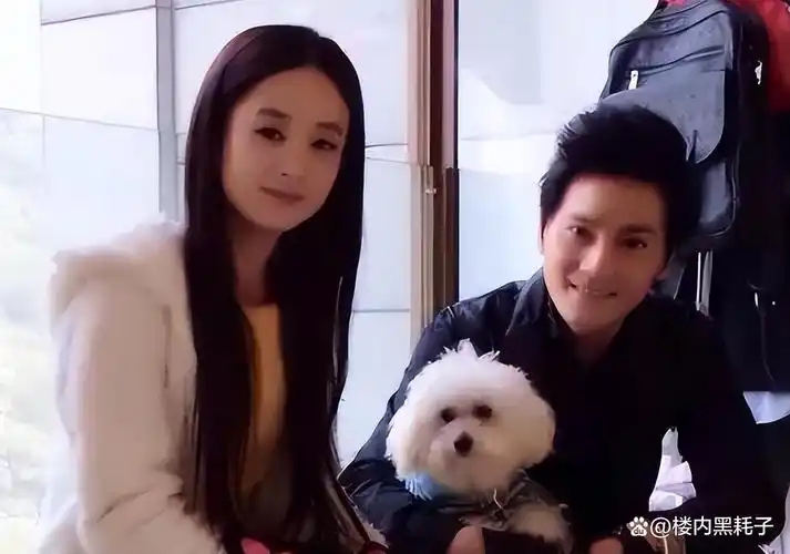 2016年,赵丽颖和陈伟霆合作《蜀山战纪》的时候,两人片场互动有爱